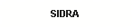 Cuadro de texto: SIDRA